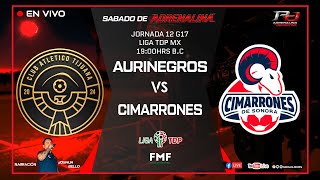 J12 Liga TDP MX Club Atletico Tijuana vs Cimarrones de Sonora