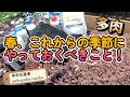 春、これからの季節にやっておくべきこと! 多肉生産者「pukupuku taniku」
