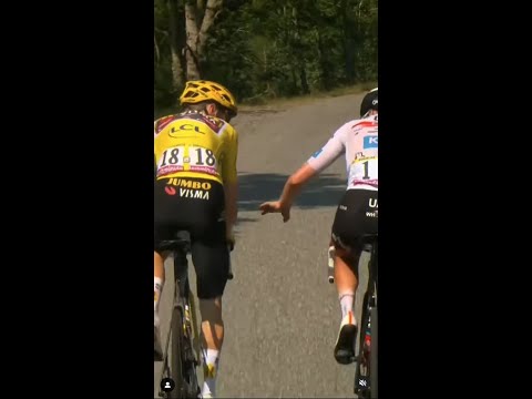 Video: Primoz Roglich Tour de France-dan so'ng Britaniya bo'ylab poygaga chiqadi