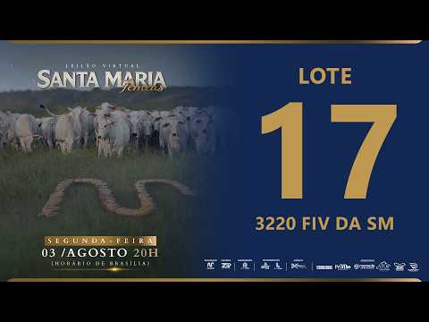 LOTE 17 FSM 3220