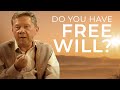Do We Really Have Free Will Eckhart Tolle Explains Do We Really Have Free Will Eckhart Tolle Explains