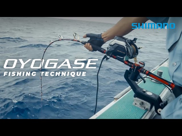 Single Live Bait Fishing Technique - Oyogase | All You Need To