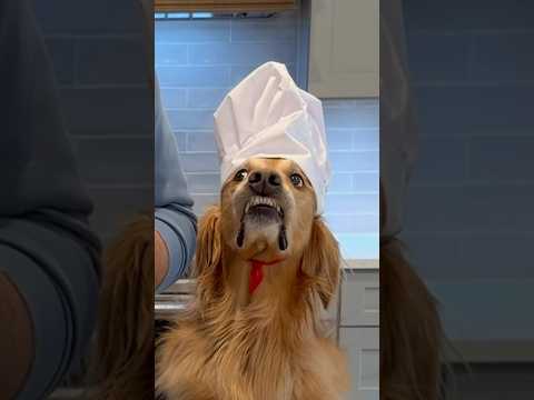Baking with my dog! | Ten Minutes With Teddy