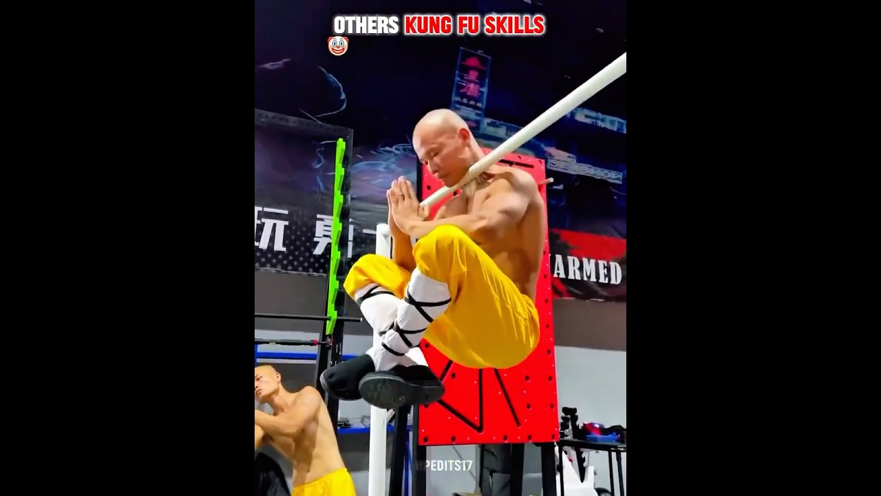Normal Kung Fu Skill Vs The Ultimate Boss☠️