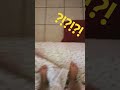 22 de noviembre de 2024