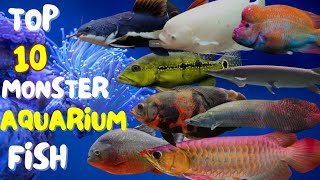Top 10 monster aquarium fish || That you can keep in  your monster aquarium
