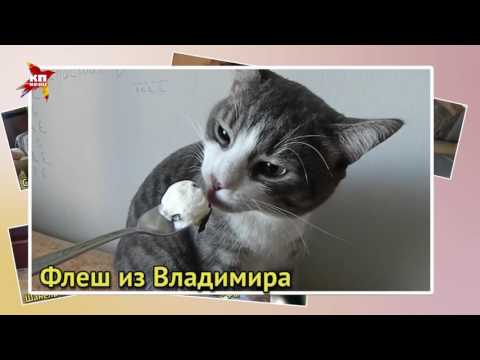 Два мира -
