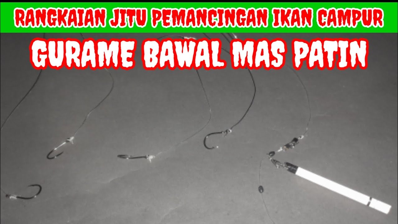 RANGKAIAN PANCING GURAME KOLAM HARIAN | 4 MATA KAIL