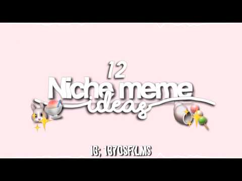 12-niche-meme-ideas
