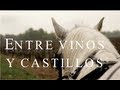 Entre vinos y castillos medievales - Valle Del Loira - Francia AXM