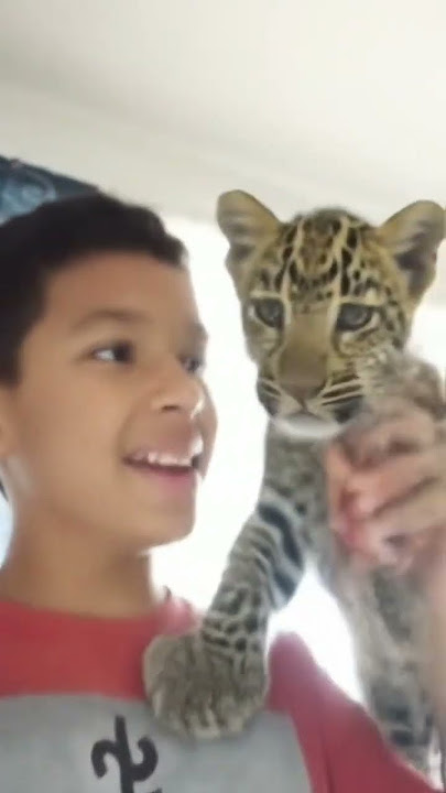 #whowillbemylifepartnerta