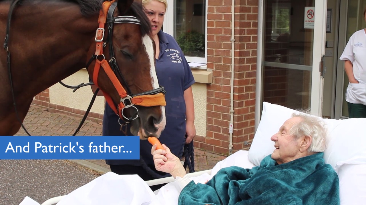 Horse visits patient Patrick at North Devon Hospice YouTube