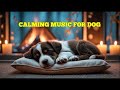Dog Healing and Comfort Music for 12 HOURS 🐾 Reduce Separation Anxiety and Calm Nerves