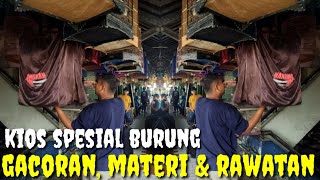 HARGA SAMPEAN MAU BERAPA ? BISA DI ATUR, KOLEKSI BURUNG GACORAN, MATERI & RAWATAN