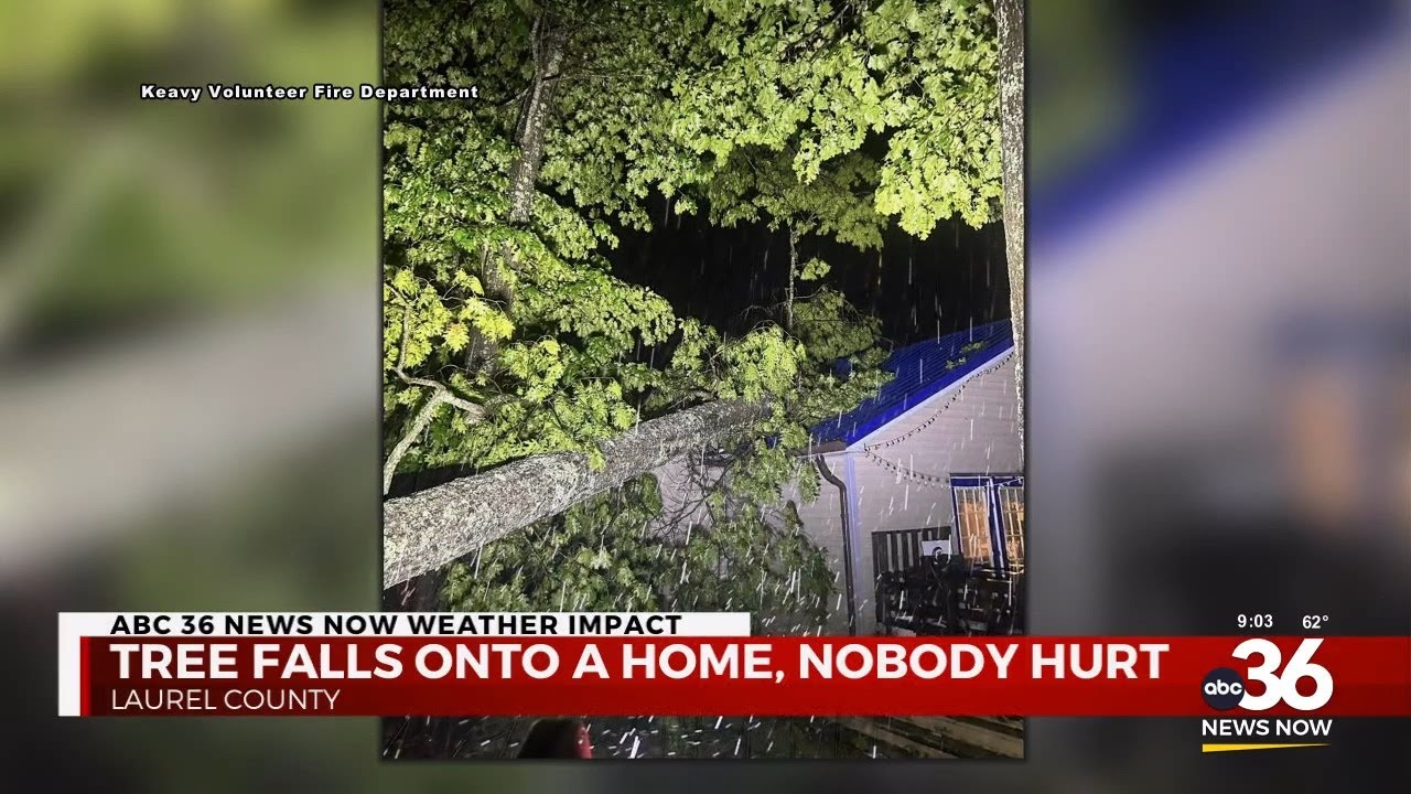 Nobody hurt after a tree falls onto a home in Laurel County - YouTube
