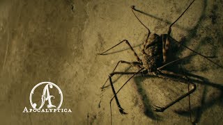 Miniatura del video "Apocalyptica - En Route To Mayhem (Official Video)"