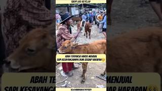 SAPI ITU BUKAN SEKEDAR HEWAN TERNAK, MELAINKAN HARAPAN TERAKHIR UNTUK BERTAHAN HIDUP