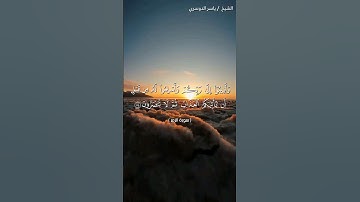 سورة الزمر من آية 54 إلى آية 55 بصوت الشيخ ياسر الدوسري♥♥