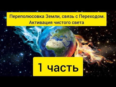 Earth's polarity reversal, connection with the Transition. Part 1.