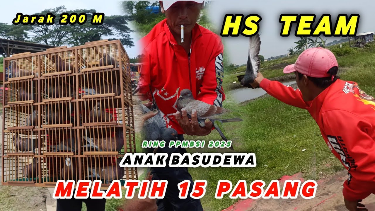 JOOSSS...15 Pasang HS TEAM Melatih Merpati Balap Jarak 200 M Lap. BKT MARUNDA JAKARTA - 3 Mei 2025