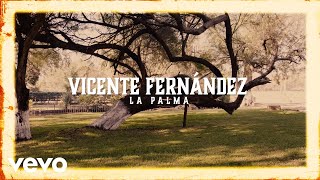Vicente Fernández - La Palma Visualizer