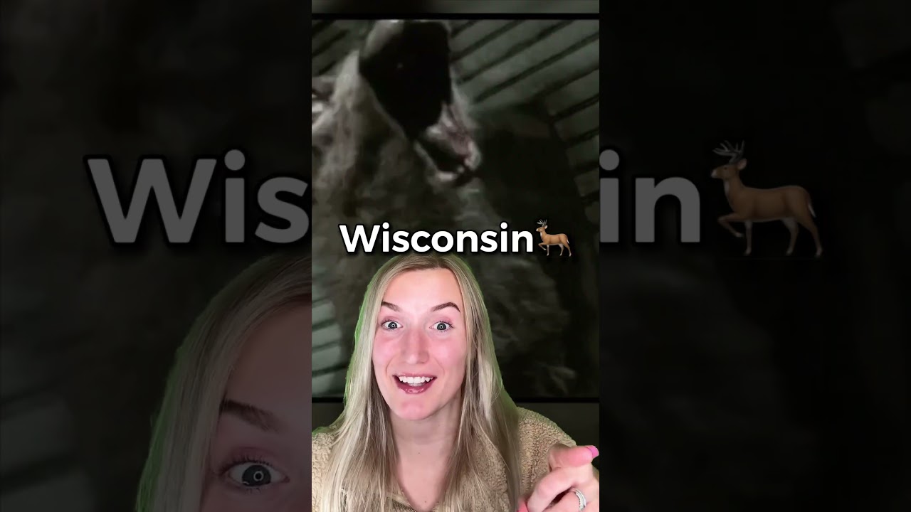 The DEADLIEST Animals In Your STATE!😳