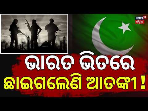 ଛାଇଗଲେଣି ଆତଙ୍କୀ! AQIS Network Expanding in India? UN Report Raises Security Concerns | Al-Qaeda News