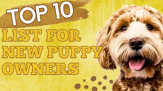 10 Must Haves for New Puppy Owners!'