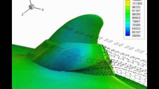 Tecplot 360 Simulation Example: Dolphin (II)