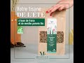 Tisane Fraîche d'Été à la Fraise et Menthe 🌿