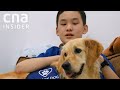 Therapy Dogs Help 12-Year-Old With Dyslexia Pass PSLE