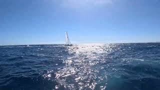 Foiling catamaran upwind sailing, video from the board of j80 by Como Estas 40 views 1 year ago 1 minute, 21 seconds