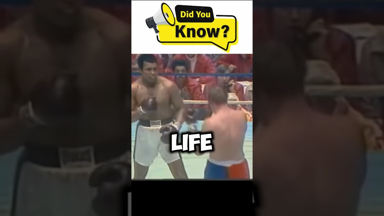 I didn’t know this fact about rocky 