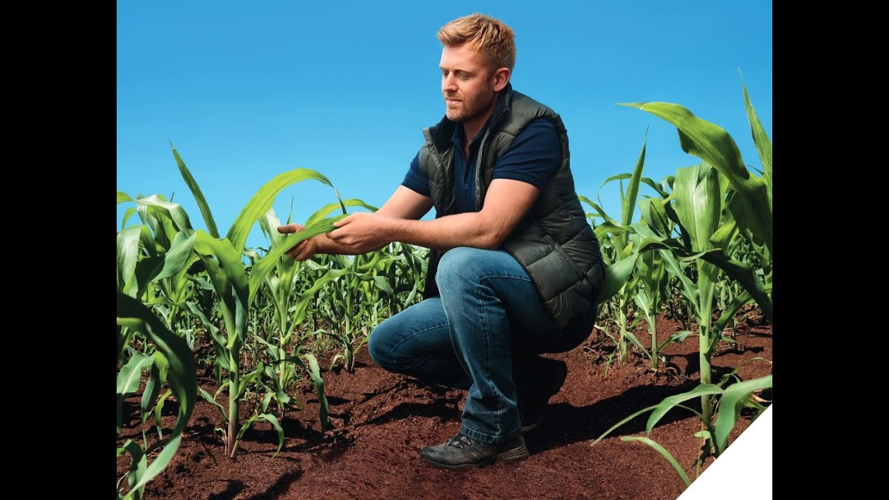 Lumiposa®: Excellent Corn Insect Control