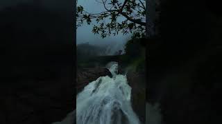 It flows like milk Dudhsagar Goa 📍#goa #travel #waterfall