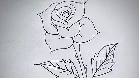 How to Draw a Realistic Rose Step by Step 🌹