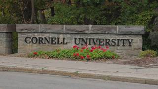 Cornell faculty vote on 'no-confidence resolution'; accused student wants AG Leticia James removed