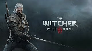 The Witcher 3: Wild Hunt (Bug Framerate Fail) Ps4