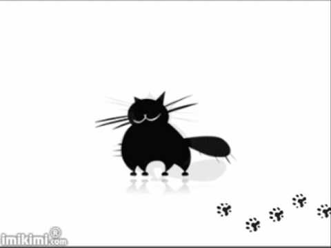 探戈小黑猫  刘家昌