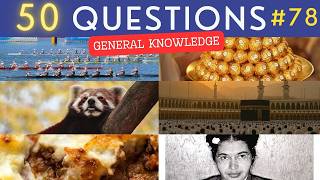 The General Knowledge Quiz #78 ¦ 50 Trivia Questions - Pub Quiz screenshot 4