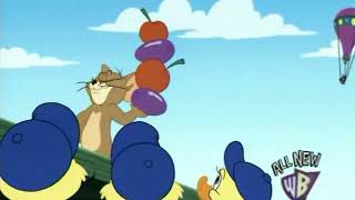 Tom And Jerry Tales - Catch Me Though You Cant 2007 - Funny Animals Cartoons For Kids