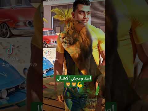 اسد ومجنن الاشبال اشترك بالقناة 