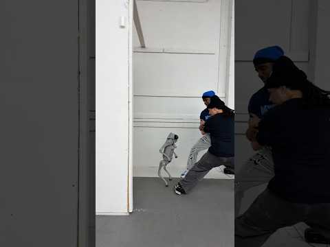 You gone hit who!? 😡