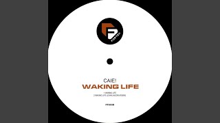 Waking Life - Caie!