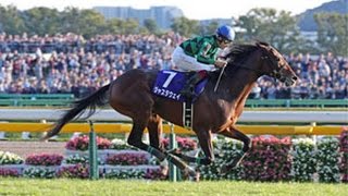 2013 Horse Racing _ Japan_ Tenno Sho _ Winner _Just A Way screenshot 4