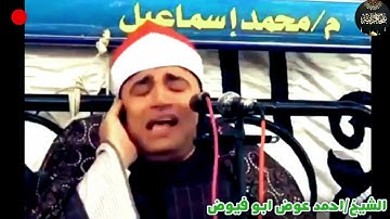 اجمل جواب ممكن تسمعه للقارئ الشيخ /احمد عوض ابو فيوض ما تيسر من سورة ص " رُدُّوهَا عَلَيَّ "🌹
