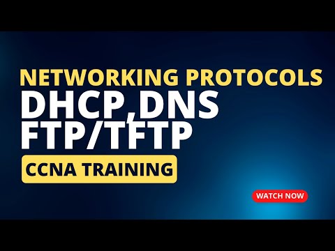 Network Protocols- DHCP/DNS/FTP/TFTP on Packet Tracer| CCNA 200-301