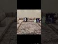 التفاهة الي نموت ضحك عليها انا وصاخبي