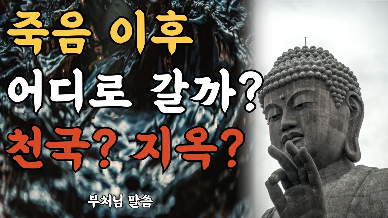 죽음 이후, 우리는 어디로 갈까? 천상과 지옥의 실제 증거|석가모니의 인생 명언|부처님 말씀|마음을 비우는 오디오북