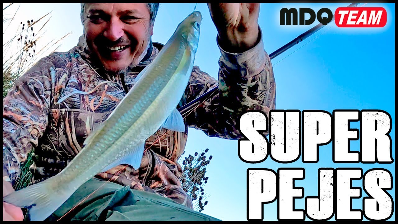 PESCA DE PEJERREY - GRANDES PEJERREYES EN CANAL 5